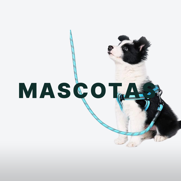 Mascotas